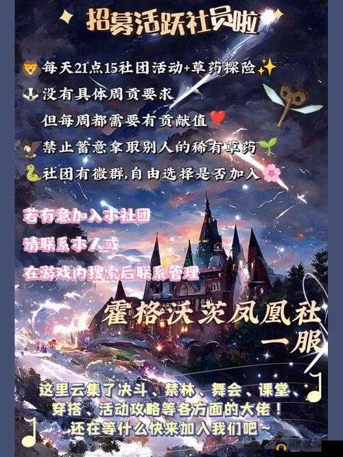 小白坚持梦想，勇敢踏上探索精灵乐园的奇幻与美妙之旅