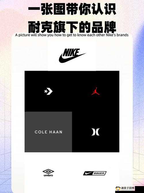 成品站 nike 源码免费：带你探索耐克源码的奥秘与惊喜