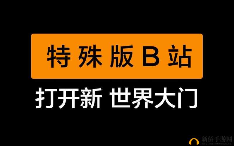 B站 推广网站 ：打开精彩视频世界的大门