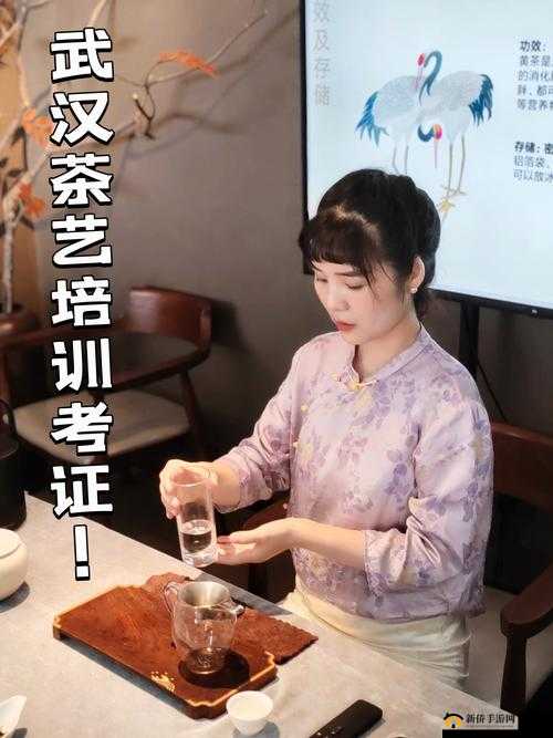 nana-taipei 茶艺：品味茶香，感受传统文化魅力