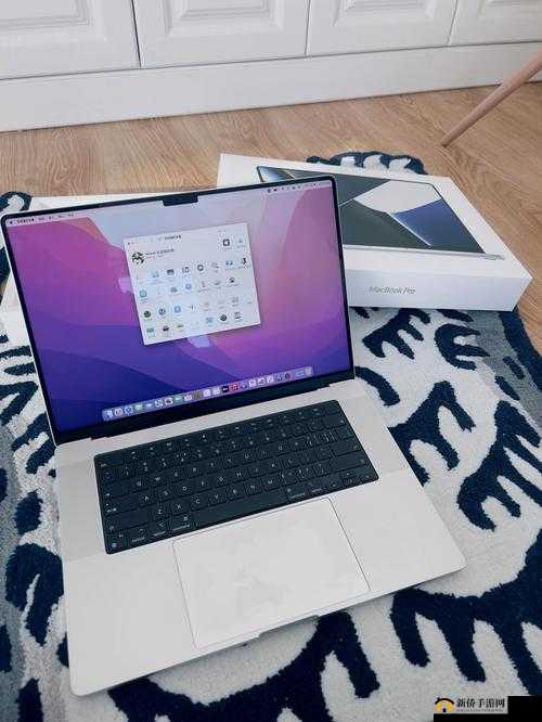 16 岁日本女学生 MacBookPro 被曝光，引发网络热议