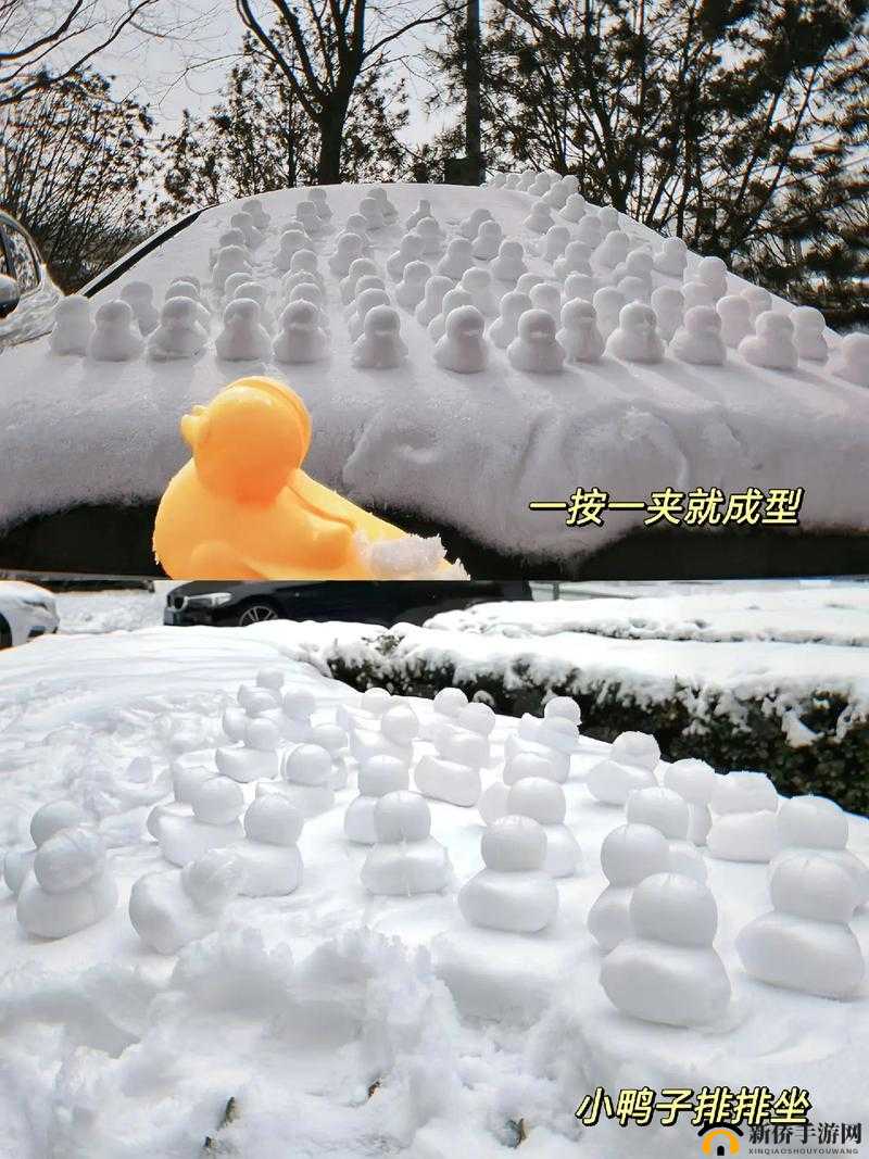 胸前两个大雪球跟着抖动怎么办：探索有效的解决方法