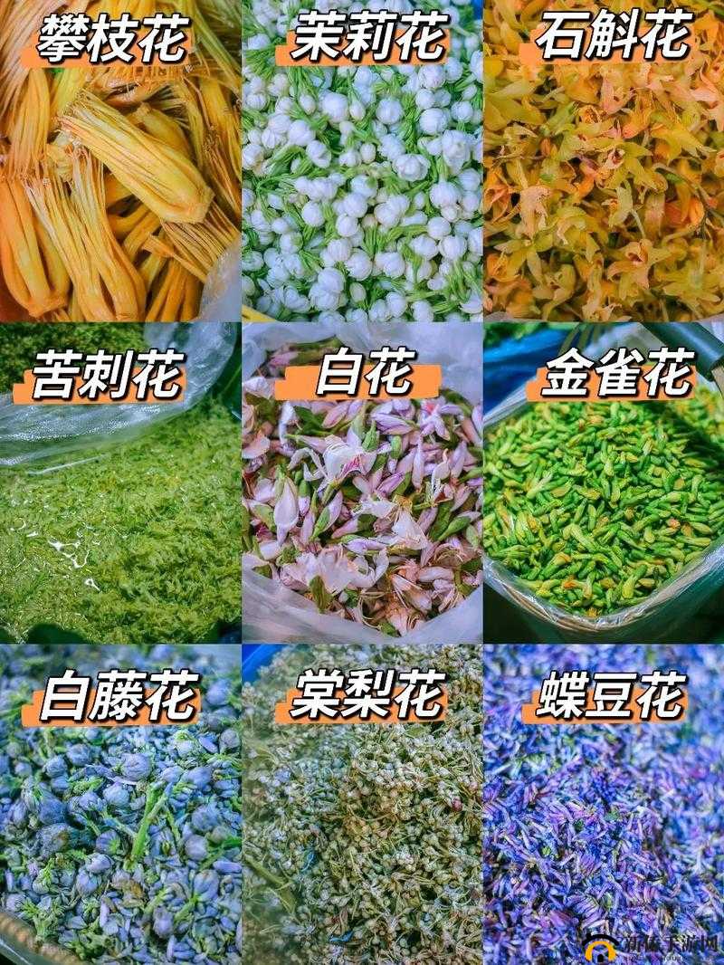 吃花核心流水喝——独特新奇的饮食体验