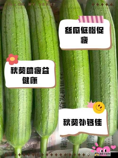 丝瓜秋葵草莓香蕉榴莲绿大全：各类蔬果的绿色盛宴详情