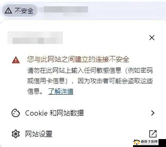 哪个浏览器不屏蔽 p 站：探寻不屏蔽该网站的浏览器有哪些