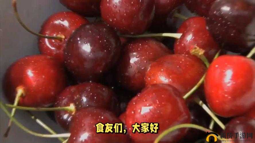 樱桃网址入口：带你探索精彩无限的网络世界