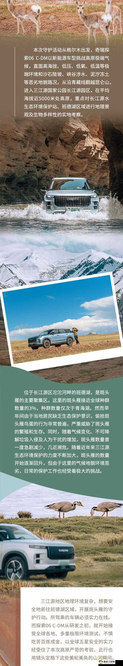 国产无人区码 SUV 新作已上架 精彩内容等你探索