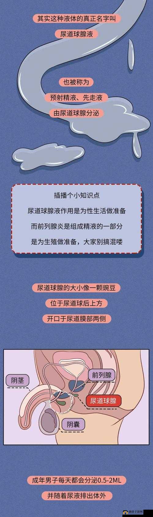 男生流出白色的粘稠物是什么：可能的原因和相关知识介绍