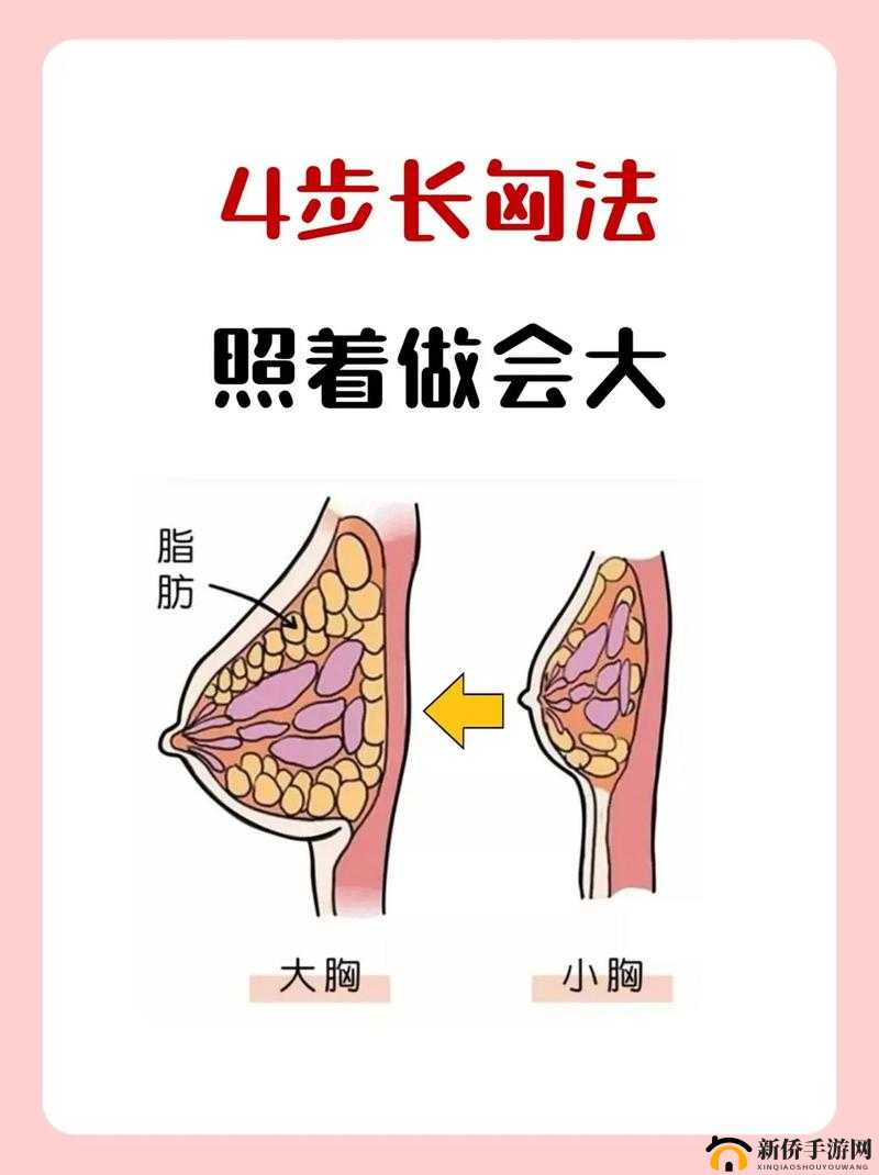 女班长称胸涨求我帮忙：我该如何应对