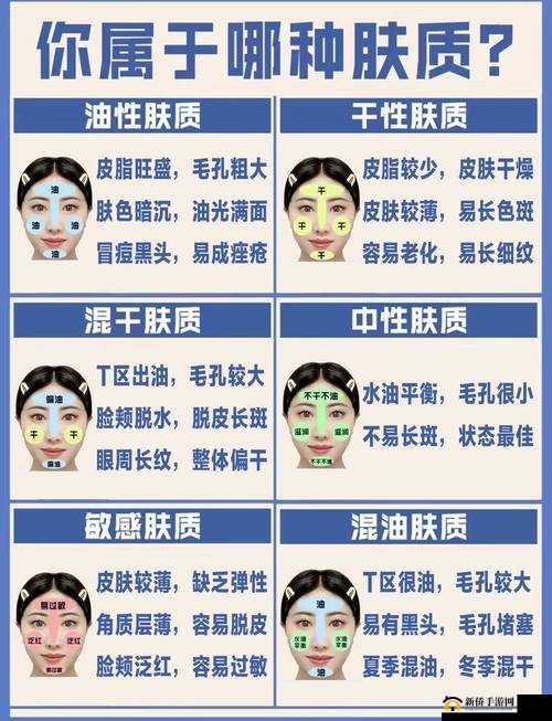 精华液一区二区有何不同：深入探究其差异所在