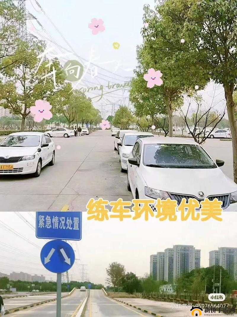 韩萌萌和刘教练练车：他们在练什么？