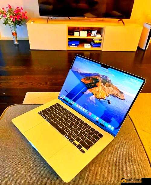 十九岁 MacBook Pro 高清完整版：青春与科技的完美融合