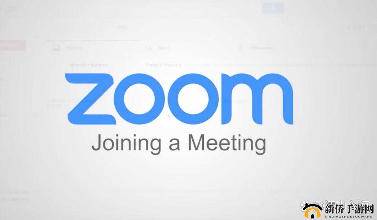 欧洲 Zoom 人与 Zoom ：探索其背后的文化与社会现象