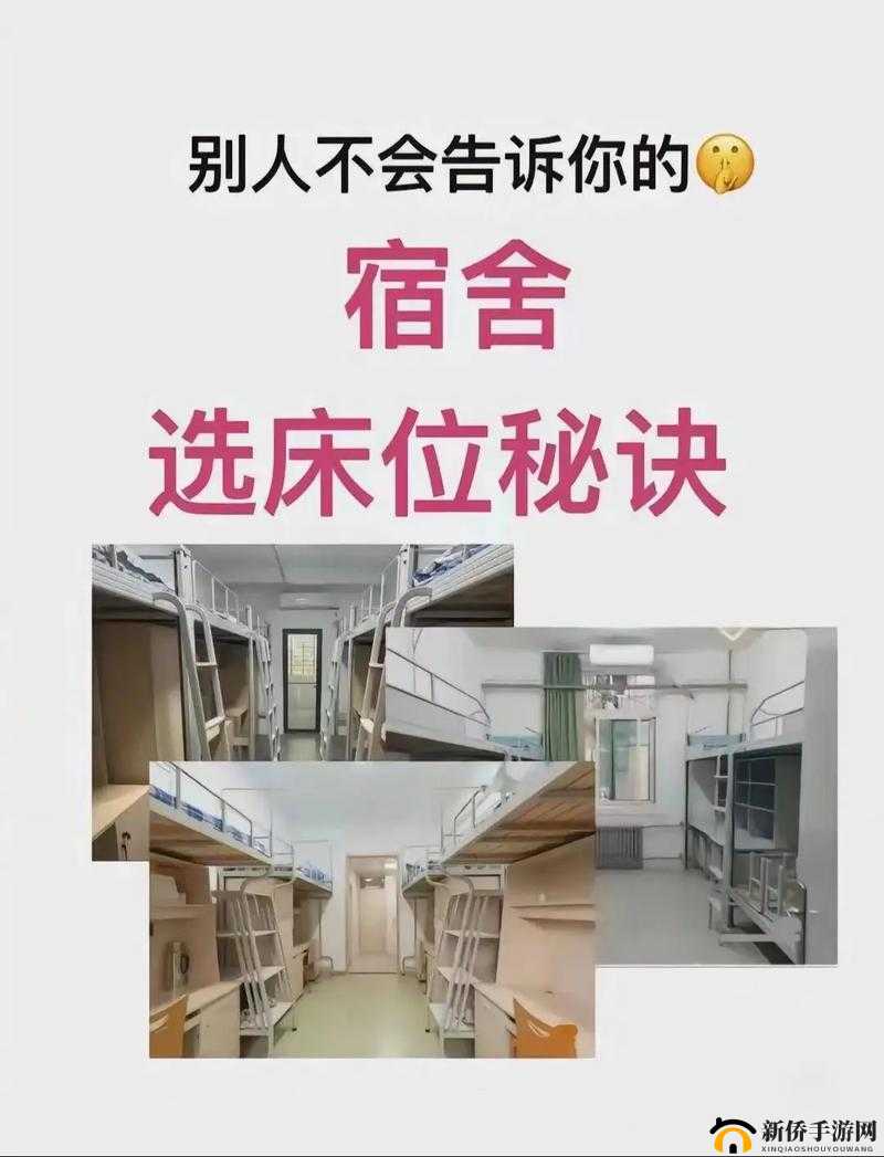 双点校园挑选宿舍床位技巧全攻略：如何选到心仪床位