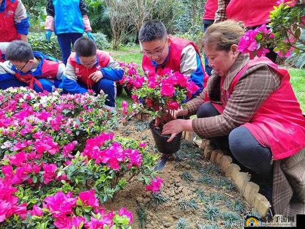 嫩草社区：一个充满活力与温暖的交流家园