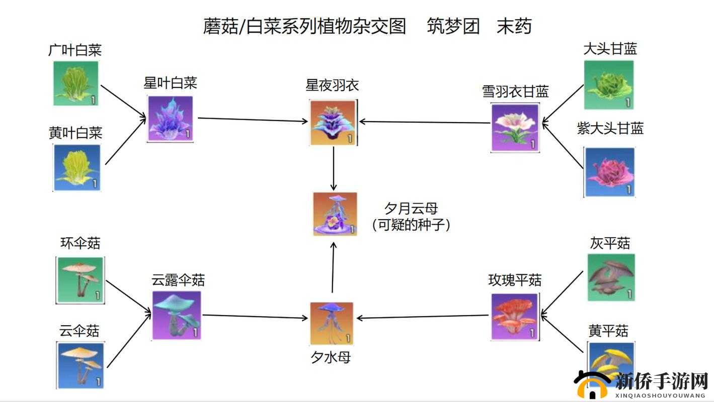 探索未知世界的无限可能，创造与魔法的奇妙交织与融合之旅