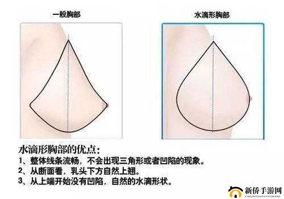 水滴型和馒头型的区别：外观形状特点及适用场景分析