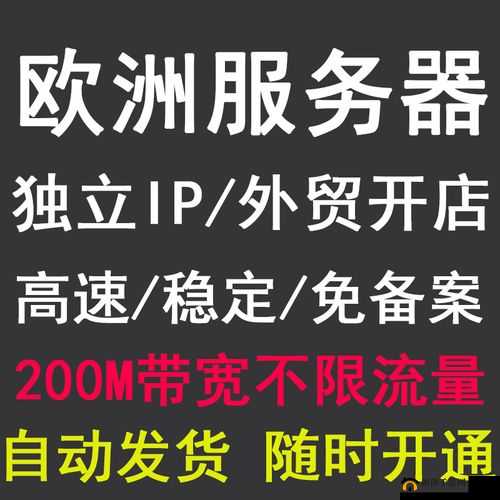 欧洲服务器 ip 相关内容及精彩解析