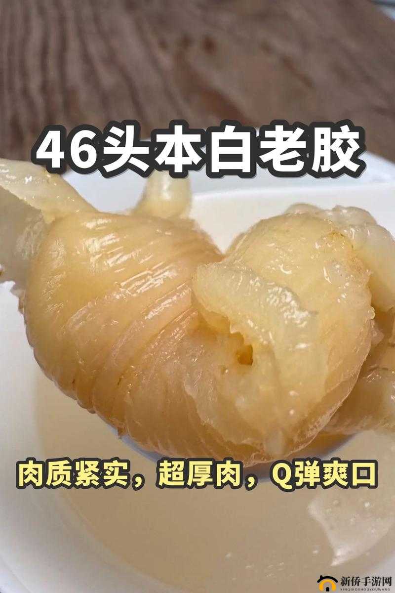 怎样制作以狗为原料的滋补胶品：最佳配方与方法