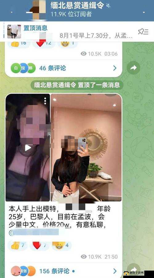 缅北恐怖网站：黑暗中的威胁与警示