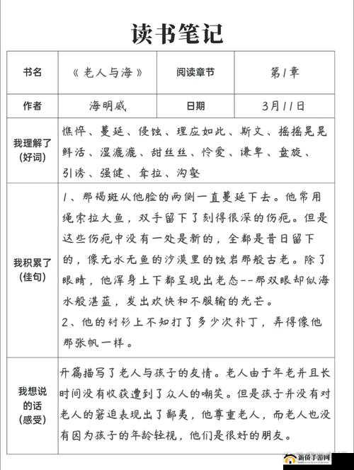 人与人和人与物关系的深入探讨及其影响因素分析