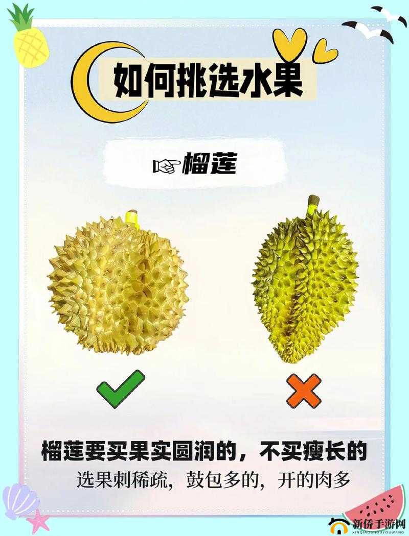 榴莲视频 APP 下载进入免费版：畅享精彩视频内容的绝佳选择