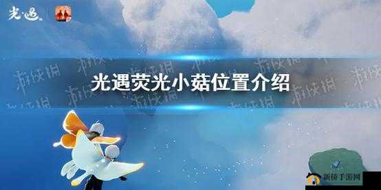 探索光遇游戏世界，揭秘荧光小菇的隐藏位置与获取方法