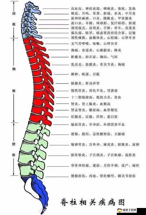 颈腰挺过那层薄膜好疼：到底是怎样一种感受呢