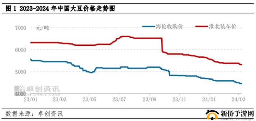 大豆行情网免费 v：实时行情分析与资讯服务