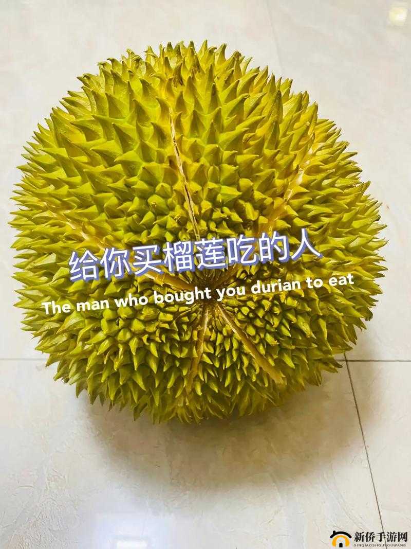 榴莲草莓芒果菠萝香蕉幸福宝：它们带给生活的甜蜜与欢乐