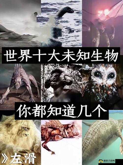 无人区卡一卡二卡三乱码网站：探索神秘未知的视频世界