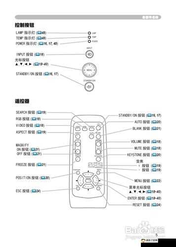 欧美另类极品 videosbesr 使用方法详细说明