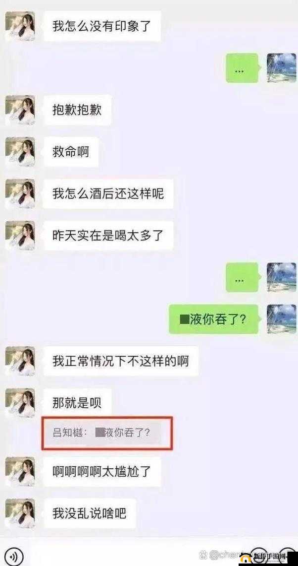 吕总张警官经典片段之事件背后的真相与影响探究