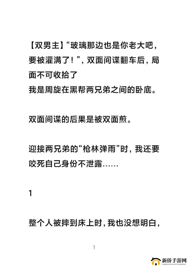 双男主车书之精彩绝伦的情感纠葛与热血冒险