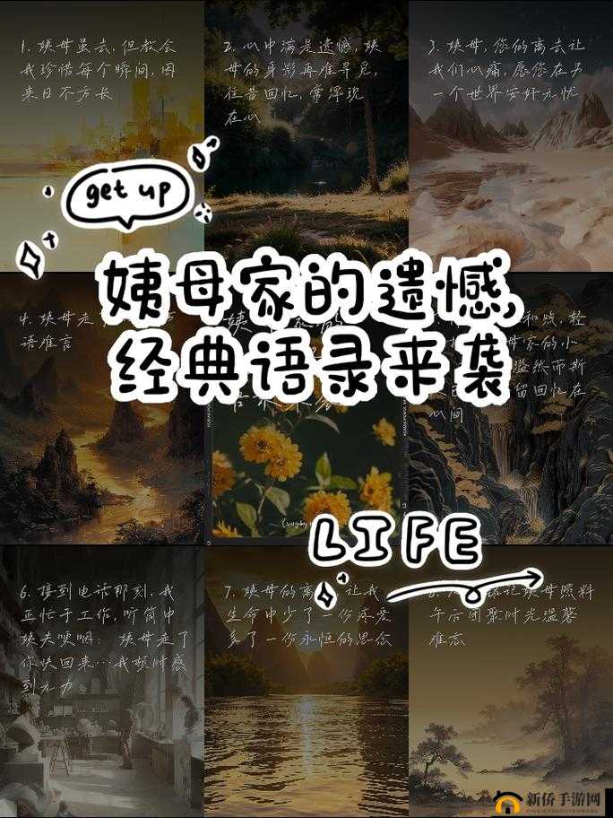 在姨母家的遗憾：那些未曾弥补的过往与失落