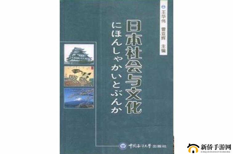 XXXXXXWW 日本：深度探索其独特文化与社会现象