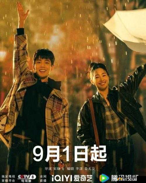 成全免费高清观看在线电视剧:畅享精彩剧集无负担