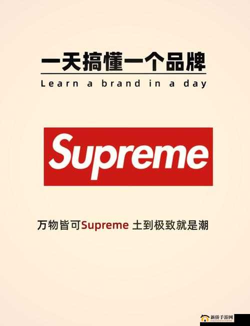 Supreme 国产版本：探索本土潮流新风向的独特魅力