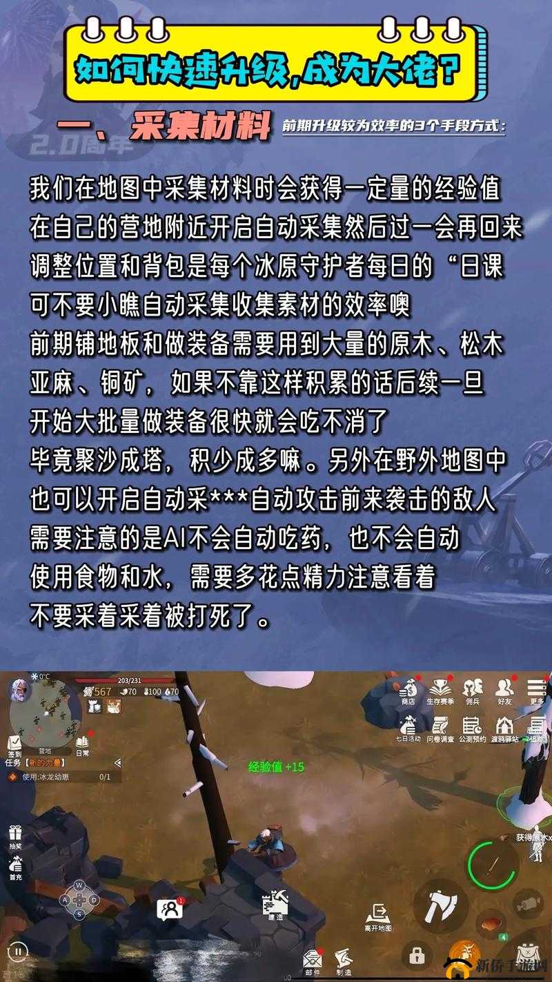 冰原守卫者新手必看，全面解析游戏玩法与策略指南