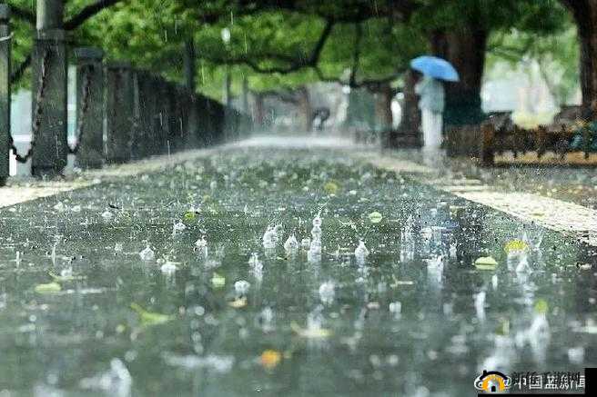 JUL532 外勤突然下大雨：众人的应对策略与后续影响