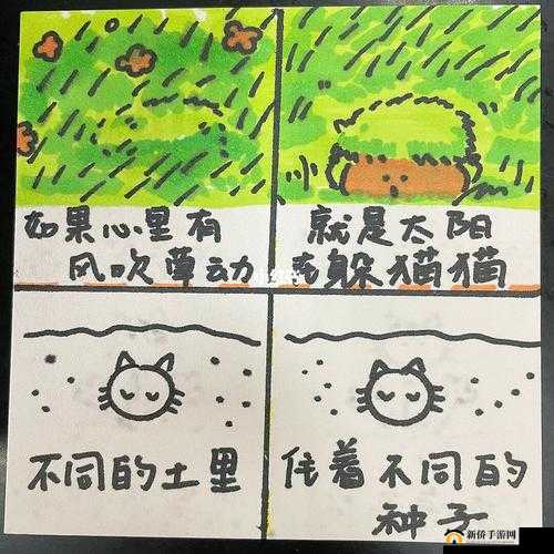 种子猫：带你领略不一样的世界