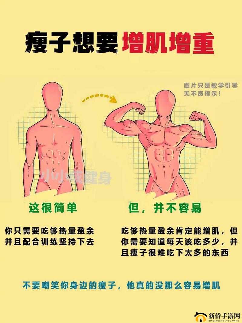 我的漂亮的瘦子 5 具有哪些独特的特点呢