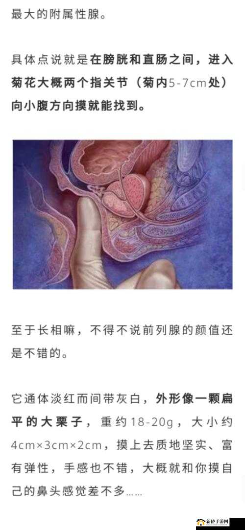 自 W 到高 C 的 25 种方法视频教程：探索私密快感的秘籍