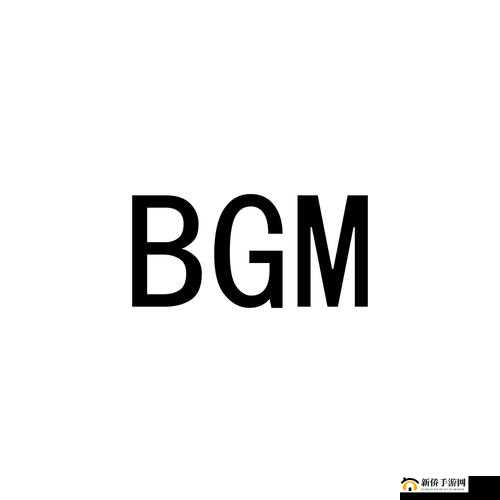 成熟交 BGMBGMBGM 价格测评：性价比、优缺点全面解析