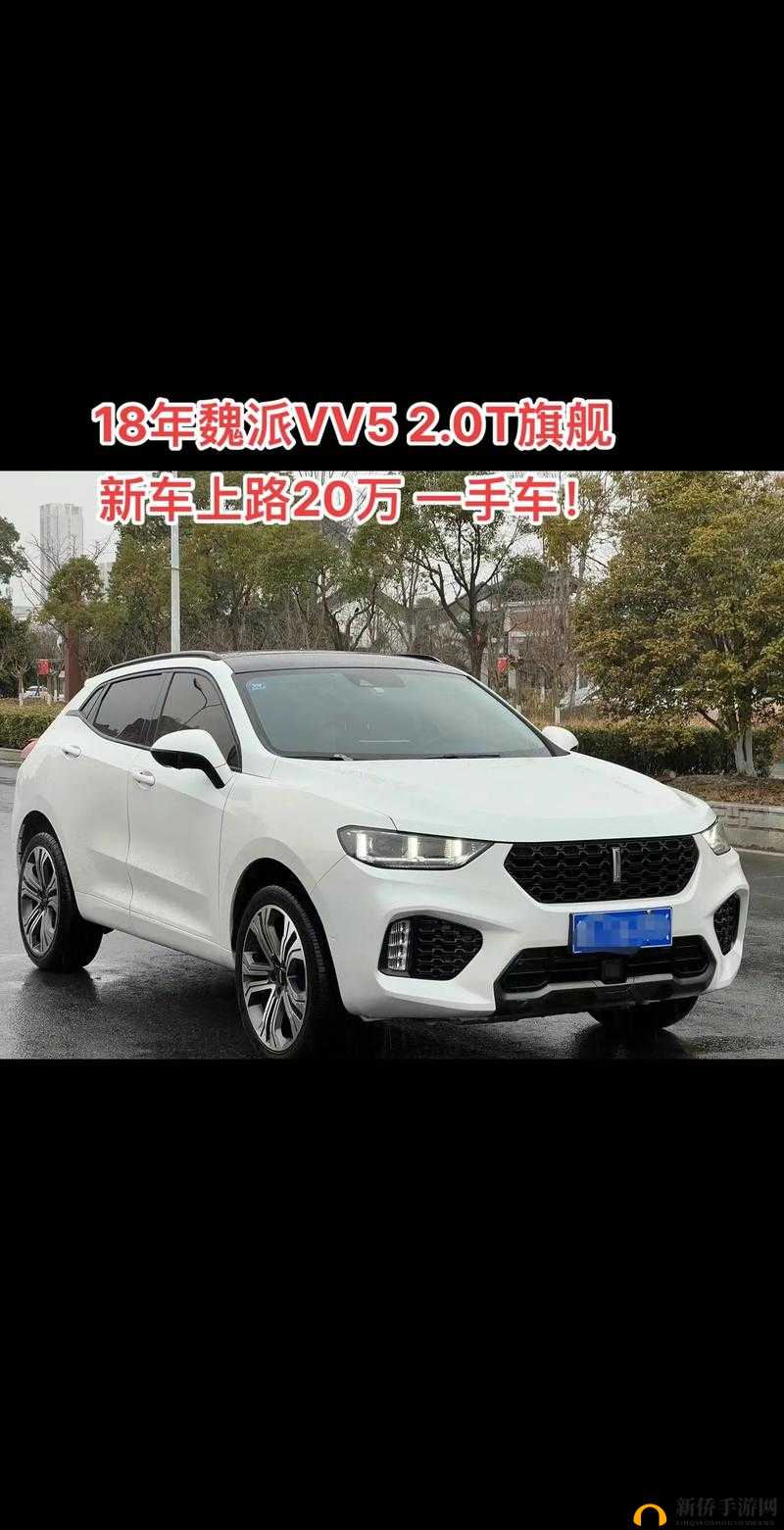 WEYVV5 国产 SUV 以其卓越性能引领汽车市场新潮流