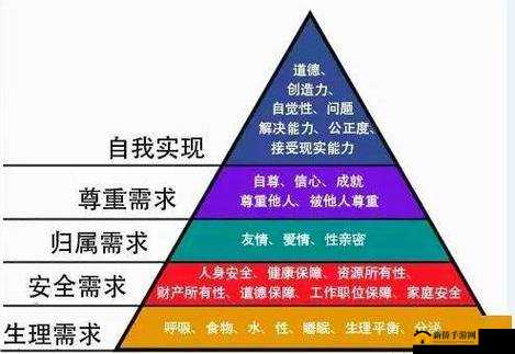 暴走，一场融合身心挑战与极致释放的独特运动体验