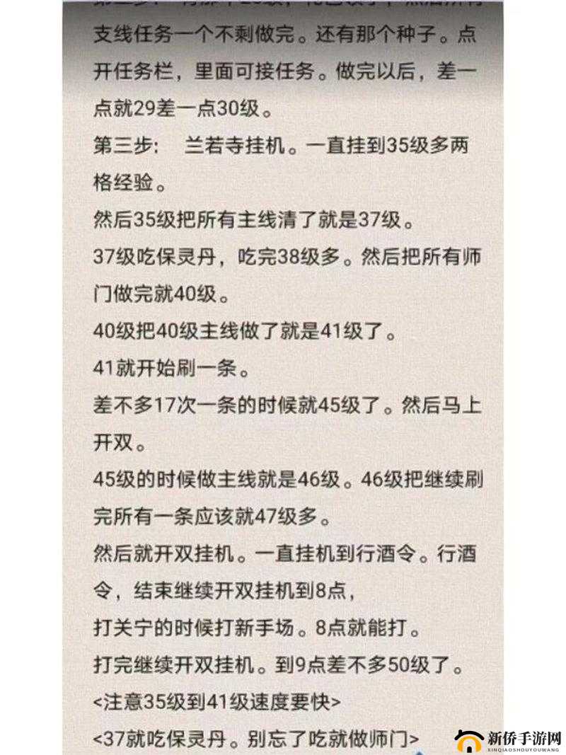 倩女幽魂游戏深度解析，挂机升级与高效进阶玩法全攻略指南