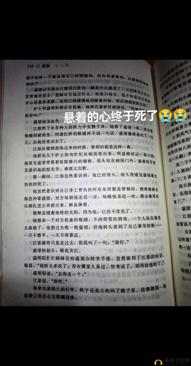 江添把盛望做流：他们之间的故事与情感纠葛