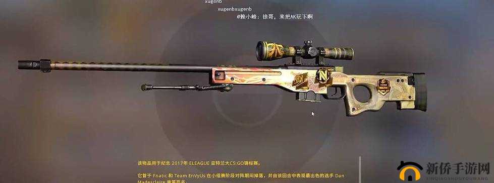 日本 CSGO 大姐姐 AWP 多少钱：探究其价格背后的因素