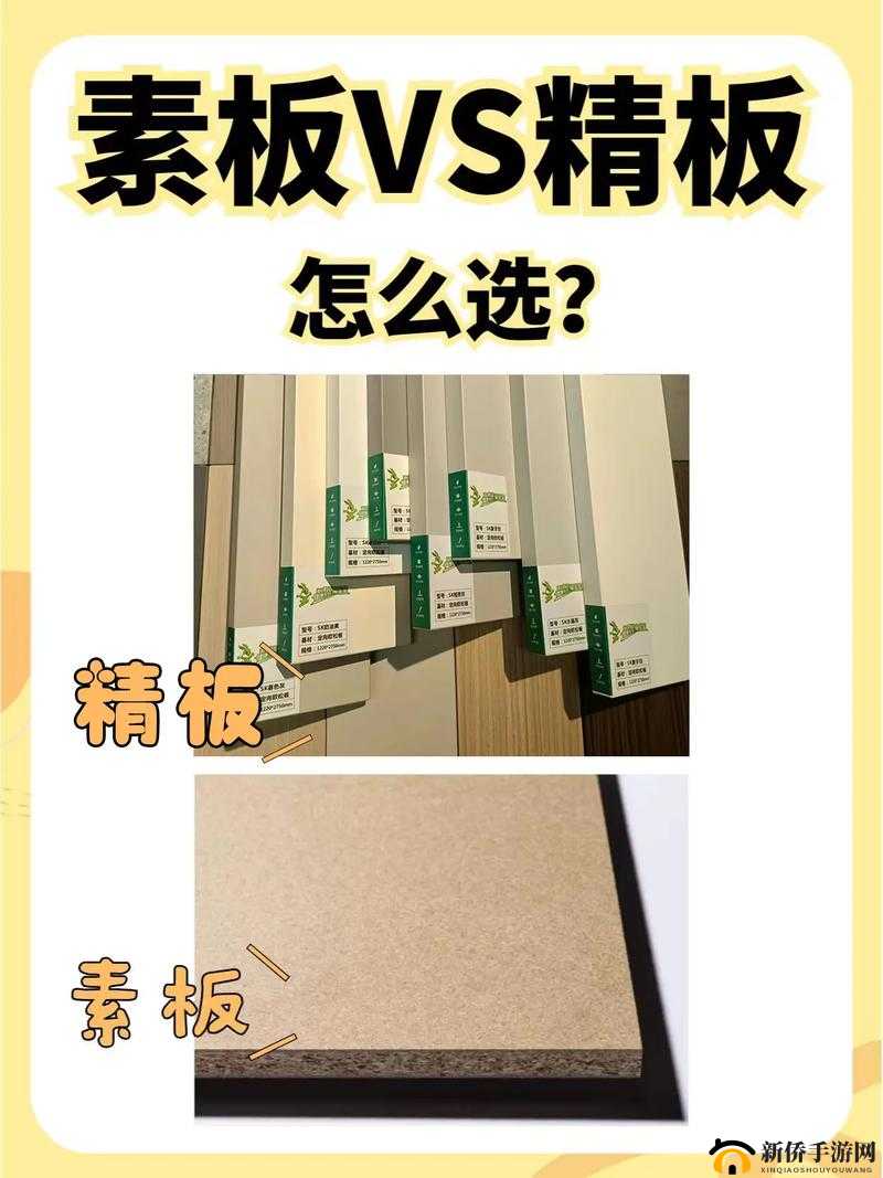 精二和精三的区别：深入剖析两者的显著差异所在